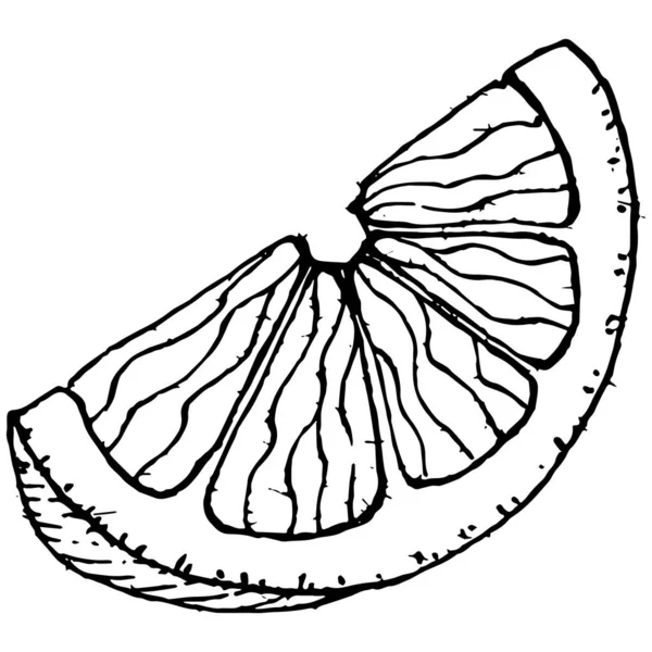 Citroen Geïsoleerd Witte Achtergrond Biologische Etherische Olie Gegraveerde Stijl Schets — Stockvector