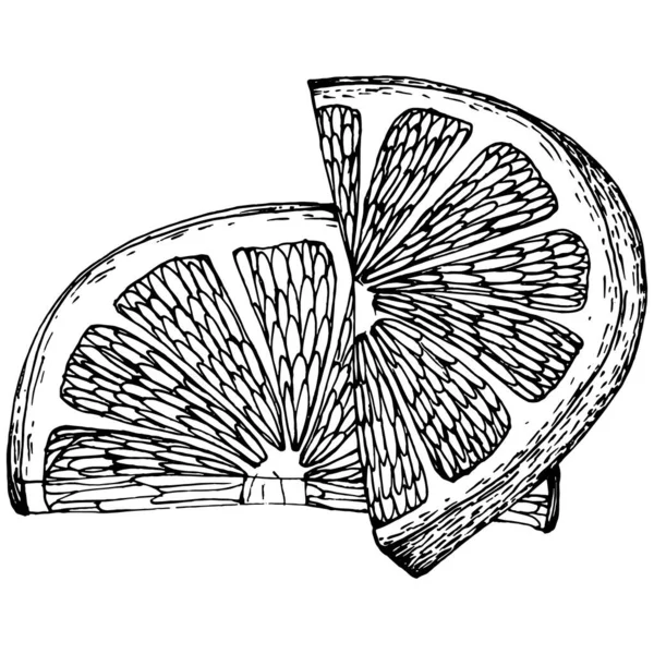 Λεμόνι Απομονωμένο Λευκό Φόντο Οργανικό Αιθέριο Έλαιο Χαραγμένο Σχέδιο Στυλ — Διανυσματικό Αρχείο