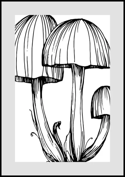 Abstract exotic mushrooms, natural poster on white background