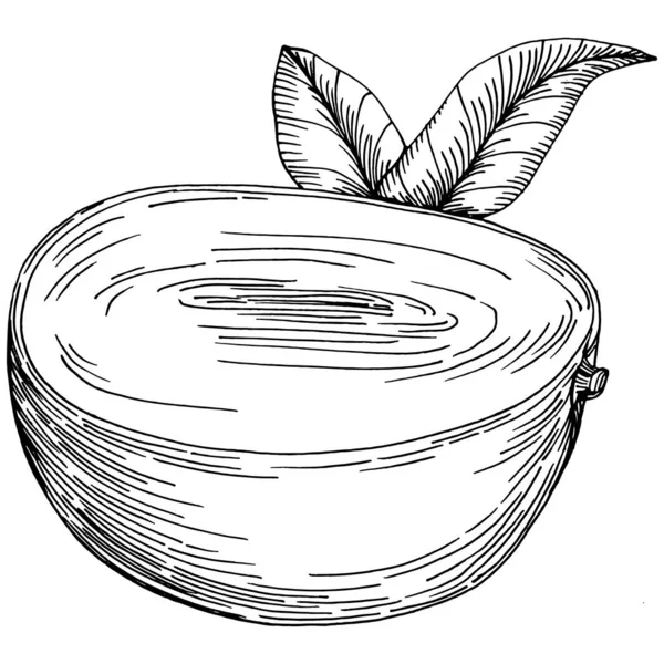 Mango tropikal meyve çizim vektörü. İşlenmiş organik gıda. Beyaz arkaplanda siyah beyaz mango ögesi.