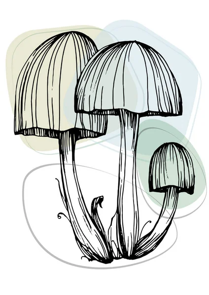 Moda renklerinde çağdaş sanat mantarları posterleri. Soyut el çiçekleri, geometrik elementleri ve vuruşları, yaprakları ve çiçekleri çizer. 