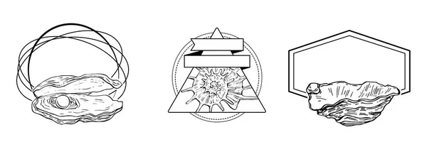 Dibujado Mano Logotipo Cáscara Marco Borde Elemento Promocional Plantilla Emblema — Vector de stock