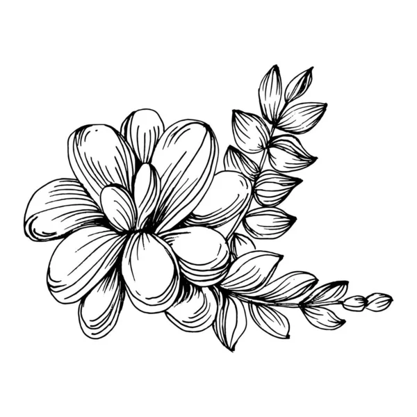 花が多肉植物 花植物植物サボテン 孤立したイラスト要素 テクスチャ ラッパーパターン フレームまたは境界線のためのベクトル手描きの野花 — ストックベクタ