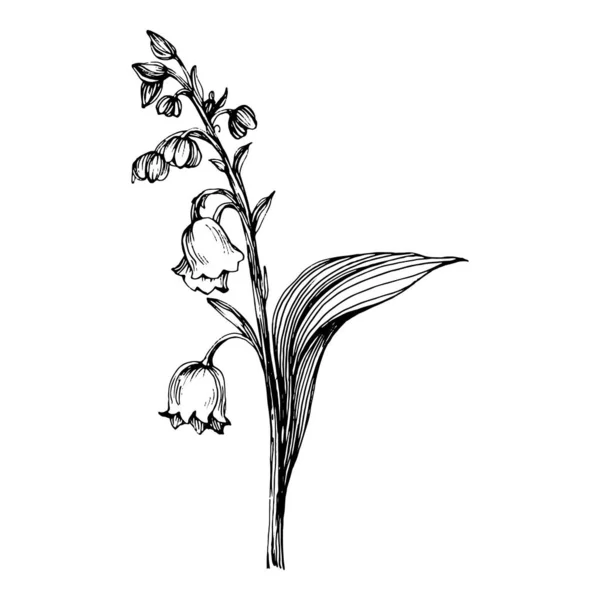 Lys Vallée Par Dessin Main Logo Floral May Lily Tatouage — Image vectorielle