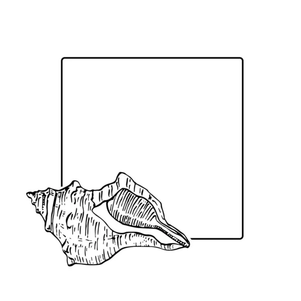 Ручной Рисунок Морской Раковины Логотип Рамка Граница Промо Элемент Шаблон — стоковый вектор