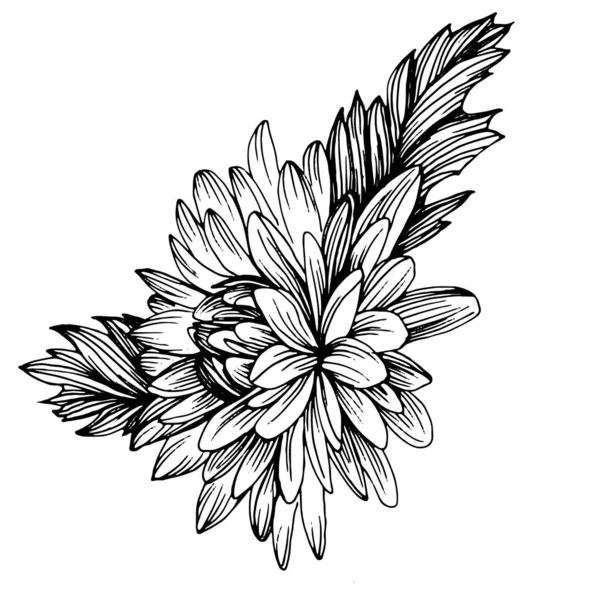 Crisantemo Dibujado Mano Tatuaje Floral Altamente Detallado Estilo Arte Línea — Vector de stock