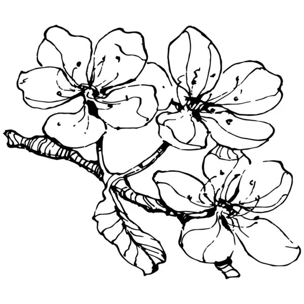 Вишневый Ручной Рисунок Винтажных Клипов Логотип Ягод Татуировка Детализированы Линии — стоковый вектор