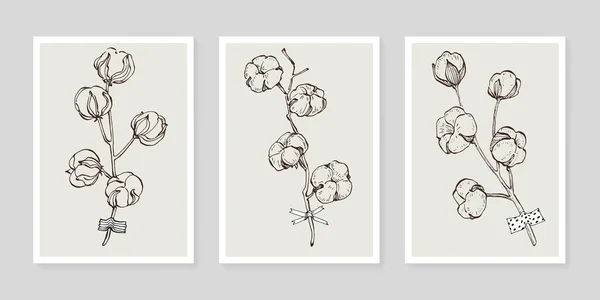 Set Plantas Arte Pared Flor Algodón Follaje Naturaleza Línea Dibujo — Vector de stock