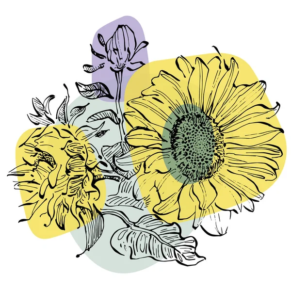 Seni Kontemporer Flora Poster Bunga Matahari Dengan Warna Trendi Tangan - Stok Vektor
