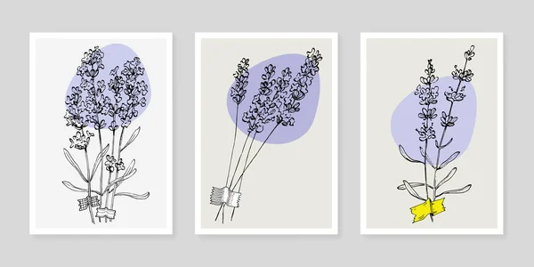 Lavanda Flor Pared Arte Planta Conjunto Follaje Naturaleza Línea Dibujo — Archivo Imágenes Vectoriales