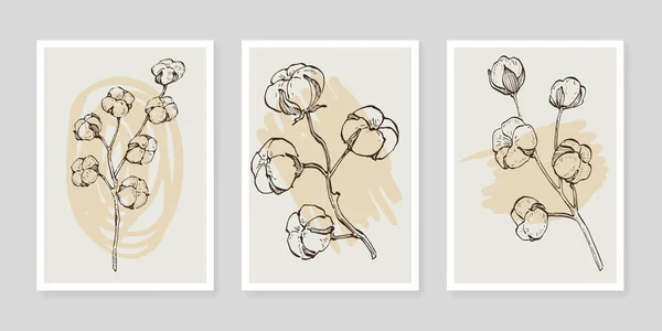 Set Plantas Arte Pared Flor Algodón Follaje Naturaleza Línea Dibujo — Vector de stock