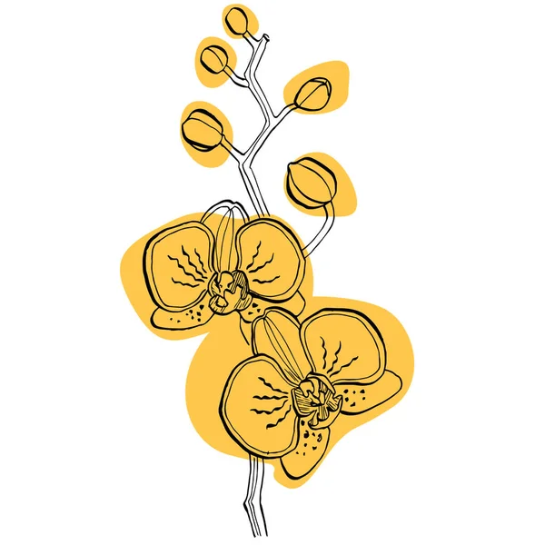 Orchid Drawing Tattooストックベクター ロイヤリティフリーorchid Drawing Tattooイラスト ページ 2 Depositphotos