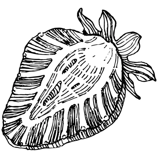 Vektorgrafiken Diseno De Tatuaje De La Hoja Vektorbilder Diseno De Tatuaje De La Hoja Seite 59 Depositphotos
