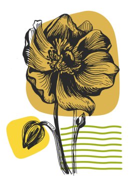 Ayçiçeği duvar sanatı seti. Soyut şekilli doğa çiziminin yaprakları. Baskı, kapak, duvar kâğıdı ve dekorasyon için modern Soyut Bitki Sanatı tasarımı.