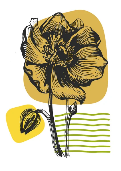 Ayçiçeği duvar sanatı seti. Soyut şekilli doğa çiziminin yaprakları. Baskı, kapak, duvar kâğıdı ve dekorasyon için modern Soyut Bitki Sanatı tasarımı.