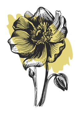 Ayçiçeği duvar sanatı seti. Soyut şekilli doğa çiziminin yaprakları. Baskı, kapak, duvar kâğıdı ve dekorasyon için modern Soyut Bitki Sanatı tasarımı.