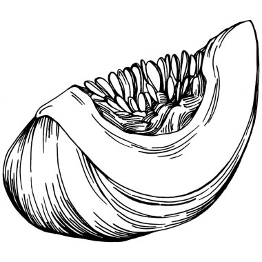 Cadılar bayramı için balkabağı resmi çizilmiş balkabağı resmi. İşleme sonbaharı. Yemek pişirmek için hasat.