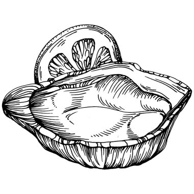 Deniz ürünleri menüsü için amblem ya da amblemin kabartma stili işlenmiş istiridye vektörü, öğle yemeği. Klasik Amerikan et lokantası ya da Fransız büfesi aperatifi..