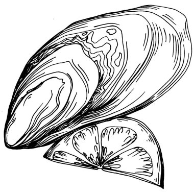 Deniz ürünleri menüsü için amblem ya da amblemin kabartma stili işlenmiş istiridye vektörü, öğle yemeği. Klasik Amerikan et lokantası ya da Fransız büfesi aperatifi..