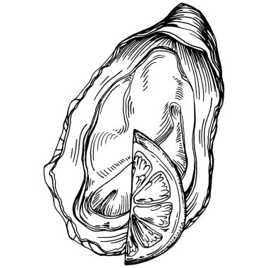 Deniz ürünleri menüsü için amblem ya da amblemin kabartma stili işlenmiş istiridye vektörü, öğle yemeği. Klasik Amerikan et lokantası ya da Fransız büfesi aperatifi..