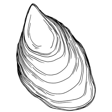 Deniz ürünleri menüsü için amblem ya da amblemin kabartma stili işlenmiş istiridye vektörü, öğle yemeği. Klasik Amerikan et lokantası ya da Fransız büfesi aperatifi..