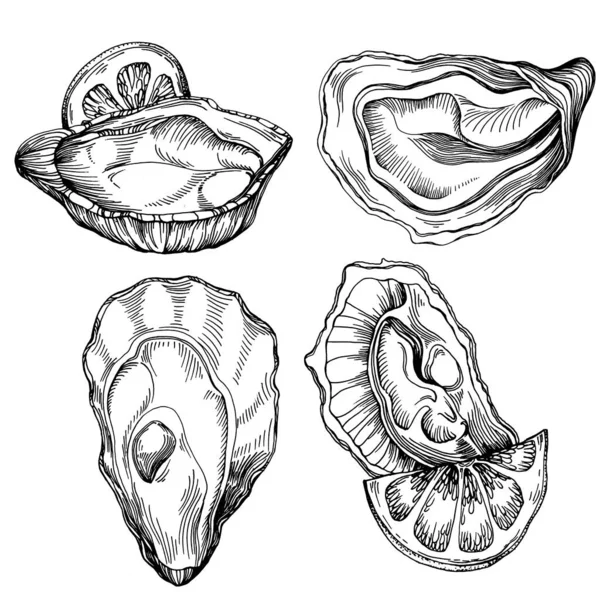 Oesters Vector Met Gravure Stijl Illustratie Van Logo Embleem Voor — Stockvector