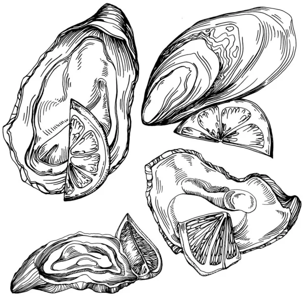 Oesters Vector Met Gravure Stijl Illustratie Van Logo Embleem Voor — Stockvector