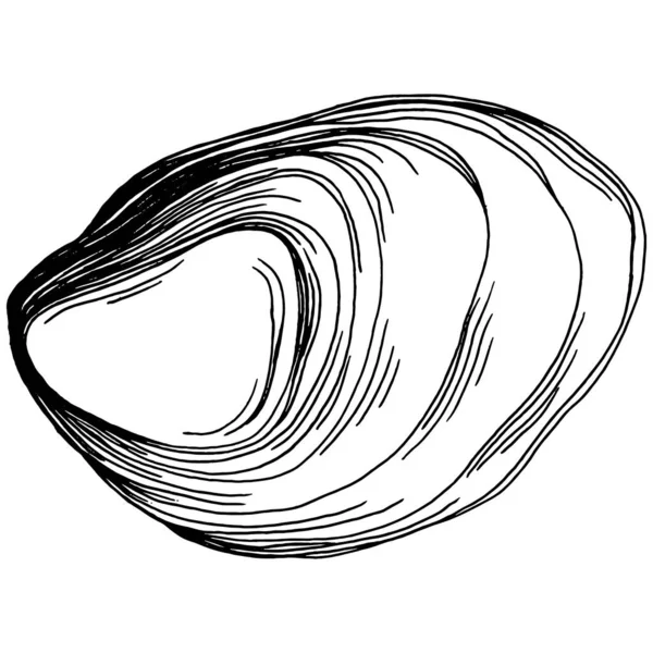 Oesters Vector Met Gravure Stijl Illustratie Van Logo Embleem Voor — Stockvector