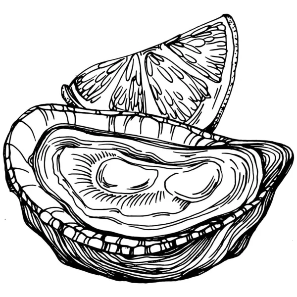 오이스터 벡터에는 해산물 디자인을 로고나 엠블렘을 조각하는 스타일의 삽화가 전형적 — 스톡 벡터