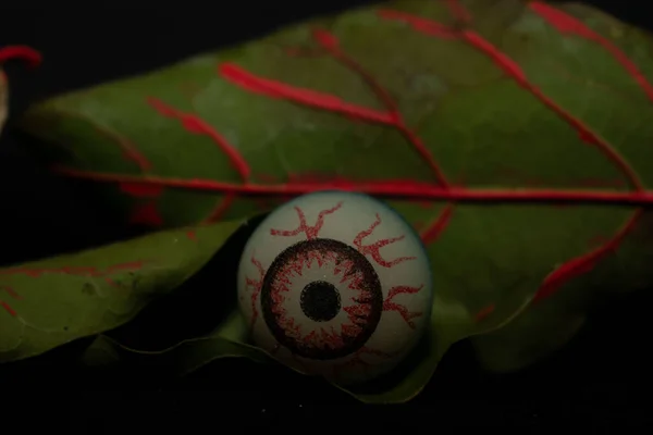 Cadılar bayramı arkaplanı kırmızı ve beyaz göz ve siyah arka planda siyah bir balkabağı, kopyalama alanı