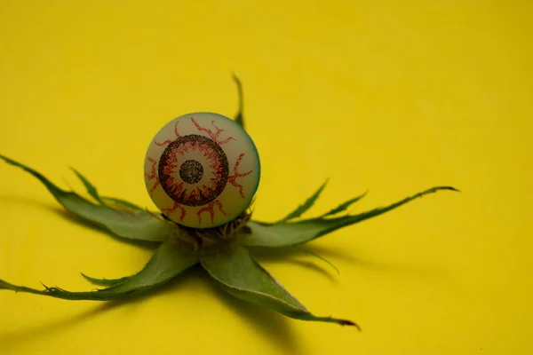 Korkunç gözlü Cadılar Bayramı balkabağı