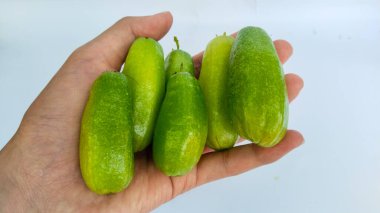 Beyaz arka planda taze yeşil sarmaşık kabağı, vitamin ve besin açısından zengin tropikal sebze