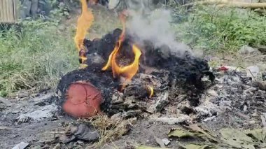 Ateş ve dumanla kurumuş atık yakma görüntüleri.