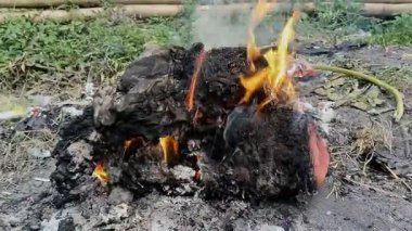 Ateş ve dumanla kurumuş atık yakma görüntüleri.