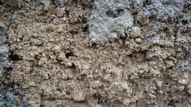Pürüzlü, pürüzlü çimento veya alçı dokusu, doğal yapı malzemelerini ve ayrıntıları gösteriyor.