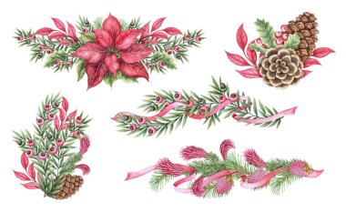 Noelde çiçek ve elinde çam kozalağı olan suluboya bir set Noel düzenlemesi. Pembe kırmızı ve yeşil neşeli bir hava yaratır. Bayram şablonu ve tebrik kartı tasarımı için ideal.