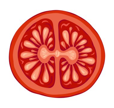 Domates vişneli dilim vektör çizimi doğa tasarımı için üst görünüm. Botanik görünüşlü kırmızı halka sebze. İtalyan menüsü ve restoran şablonu veya organik tarım grafiği için harika.