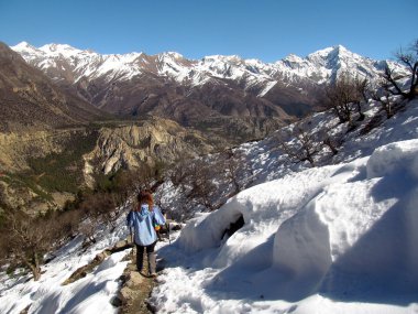  Himalayalar'da trekking.