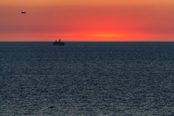 Silhouette Large Ocean Liner Sailing Sea Horizon Sunset Seagulls Fly — Stock Photo, Image