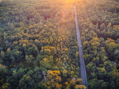 Sonbahar ormanının zirvesinden altın bir saatte manzarayı seyret. Gün batımı, altın saat. Ormanda ve üzerinde arabalar olan bir yol var..
