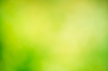 Yeşil renk varyantları ile güzel doğa soyut arka plan.