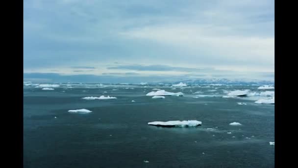 Kuzey Buz Denizi, Timelapse icebergs ile — Stok video