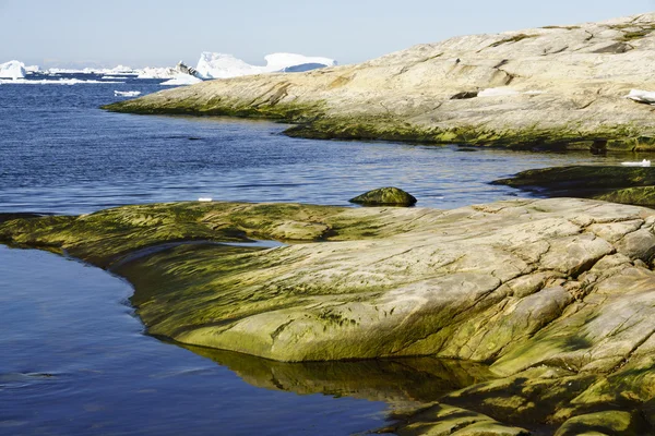 Isbergen är på norra ishavet på Grönland — Stockfoto
