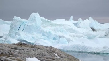 Ilulissat buz Grönland buzulları yanıyor