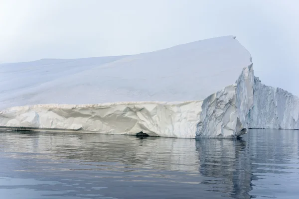 冰川在北极海洋上, 到格陵兰的伊卢利萨特冰毒 — 图库照片