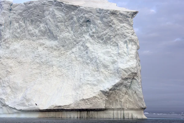 Los glaciares están en el océano Ártico en Ilulissat icefjord, Groenlandia —  Fotos de Stock