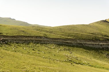 güzel doğa ve dağ ile sis, plato hayat bu
