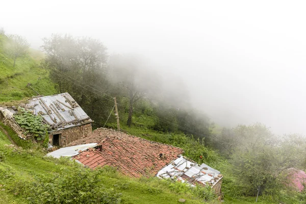 traditional plateau life and amazing nature