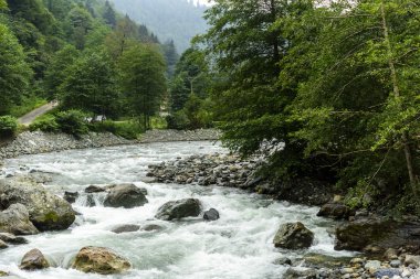 Karadeniz Bölgesi, Türkiye'de Kaçkar Dağlarının Plato