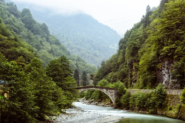 古老的石桥河在土耳其黑海地区高原上 — 图库照片